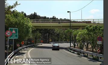 پل جدید بوستان آب و آتش 1