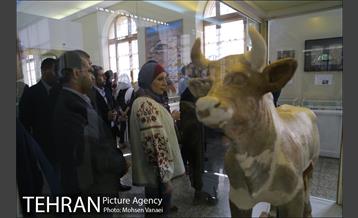 تهرانگردی شهردار بغداد 24