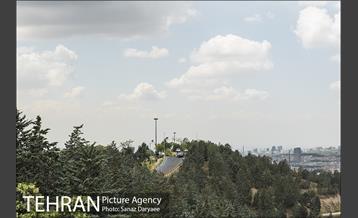 بوستان جنگلی لویزان 16