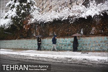 بارش برف زمستانی در تهران-2 19