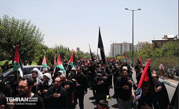 دسته عزاداری دانشگاه امام صادق(ع) در ظهر تاسوعا 11