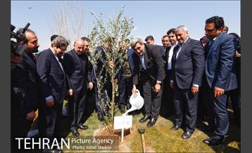 آیین کاشت درخت صلح و دوستی 30