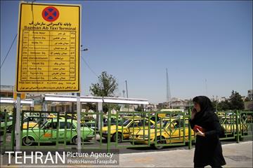 آغاز طرح نوسازی تاکسی های مدل 85 9