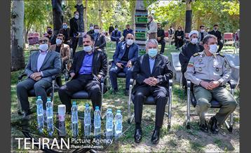 روز ملی کشتی 11