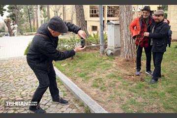 کاشت درخت توسط هنرمندان در فرهنگسرای نیاوران 16