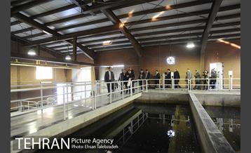 بازدید و افتتاح پروژه های عمرانی پایتخت با حضور شهردار تهران 11