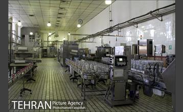 خط تولید شرکت صنایع شیر ایران 11