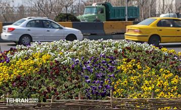 طرح استقبال از بهار 74