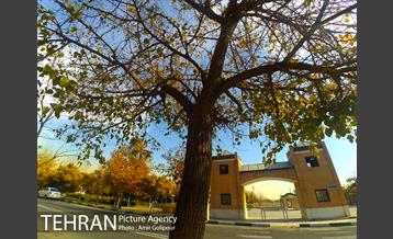 بوستان باغ نو 16