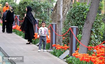 تور عکاسی از باغ ایرانی 33