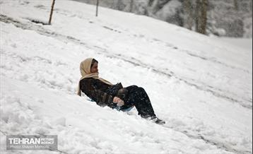 بارش برف در تهران 33