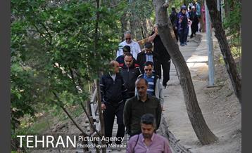 همایش پیاده روی خانوادگی کارکنان شهرداری 7