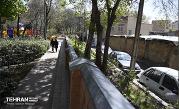 باغ ایرانی در ایام نوروز  14