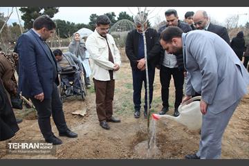 کاشت نهال یادمان تشکل ها در بوستان سمن ها 24