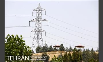 بوستان جنگلی یاس فاطمی 32