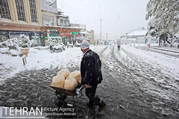 بارش برف در تجریش 16