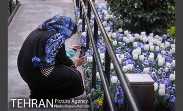 باغ ایرانی (بوستان مهندس مختاری) 9