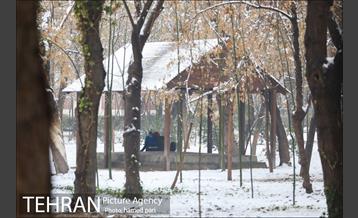 روز برفی تهران در پارک شهر 1