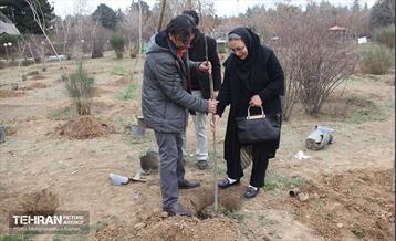 کاشت نهال یادمان تشکل ها در بوستان سمن ها 17