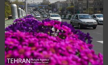 گل آرایی پل سیدخندان 26