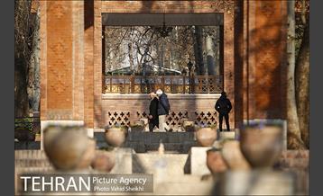 باغ ایرانی 10