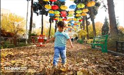 گذرگاه های پاییزی پایتخت - منطقه 13