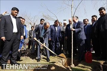 آیین کاشت درخت صلح و دوستی 33