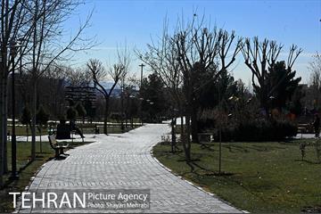 بوستان پلیس 50