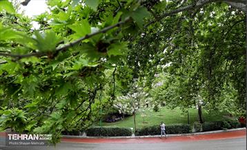 بارش باران بهاری در تهران - 2 27