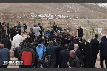 آیین روز درخت‌کاری و پایان پروژه کاشت ۲۵۰۰ هکتار کمربند سبز پایتخت  15