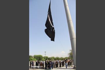 جلسه و بازدید میدانی جعفر شربیانی از منطقه ۲۰