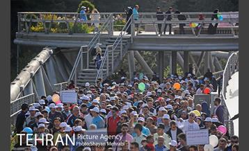 همایش پیاده روی خانوادگی کارکنان شهرداری 13