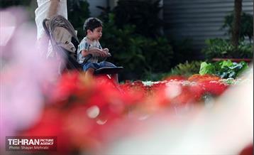 بیستمین نمایشگاه بین‌المللی گل و گیاه 30