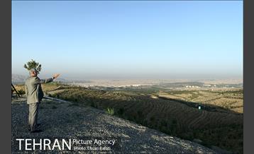 بازدید شهردار تهران از طرح‌های جنگل کاری شمال تهران  5