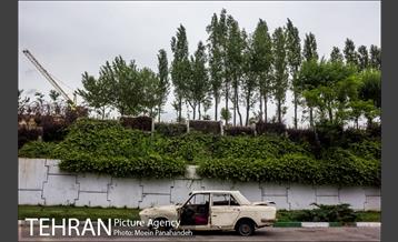 بزرگراه همت 31