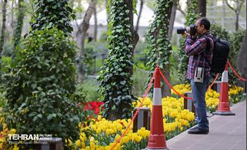 تور عکاسی از باغ ایرانی 23