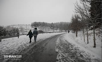 روز برفی تهران - 2 28