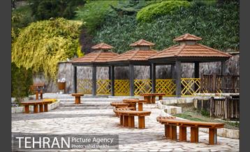 بوستان نهج البلاغه در یک روز بارانی 23