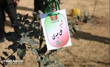 آیین پدران آسمانی  3