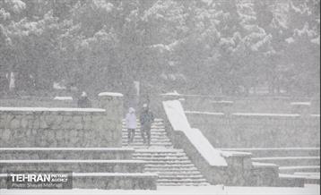 بارش برف زمستانی در تهران 28