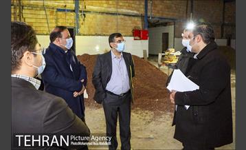 بازدید صبحگاهی سرپرست منطقه ۸، از پروژه‌های عمرانی منطقه 3