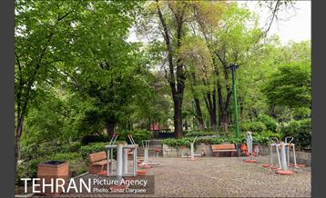 بوستان نیاوران 19