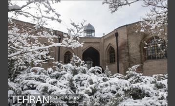 روز برفی در باغ موزه قصر‎ 28