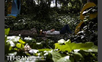 بوستان ساعی 22