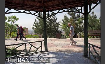 بوستان پرواز 13