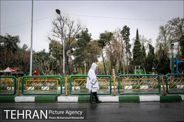 بارش باران بهاری در تهران 2