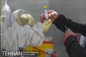 انجام تست رایگان PCR توسط شهرداری تهران 26