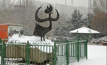 بارش برف زمستانی در منطقه ۲ 14