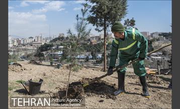 مراسم درختکاری مرکز مدیریت محیط زیست و توسعه پایدار 30