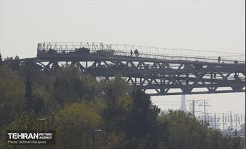 تهران در دود 12